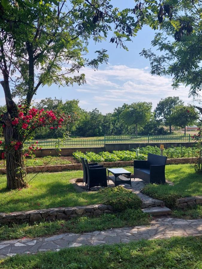 Отель Agrotourism Galic Krka Drinovci Экстерьер фото